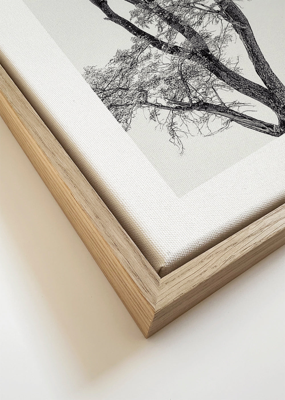 the African eagle - Piet Flour