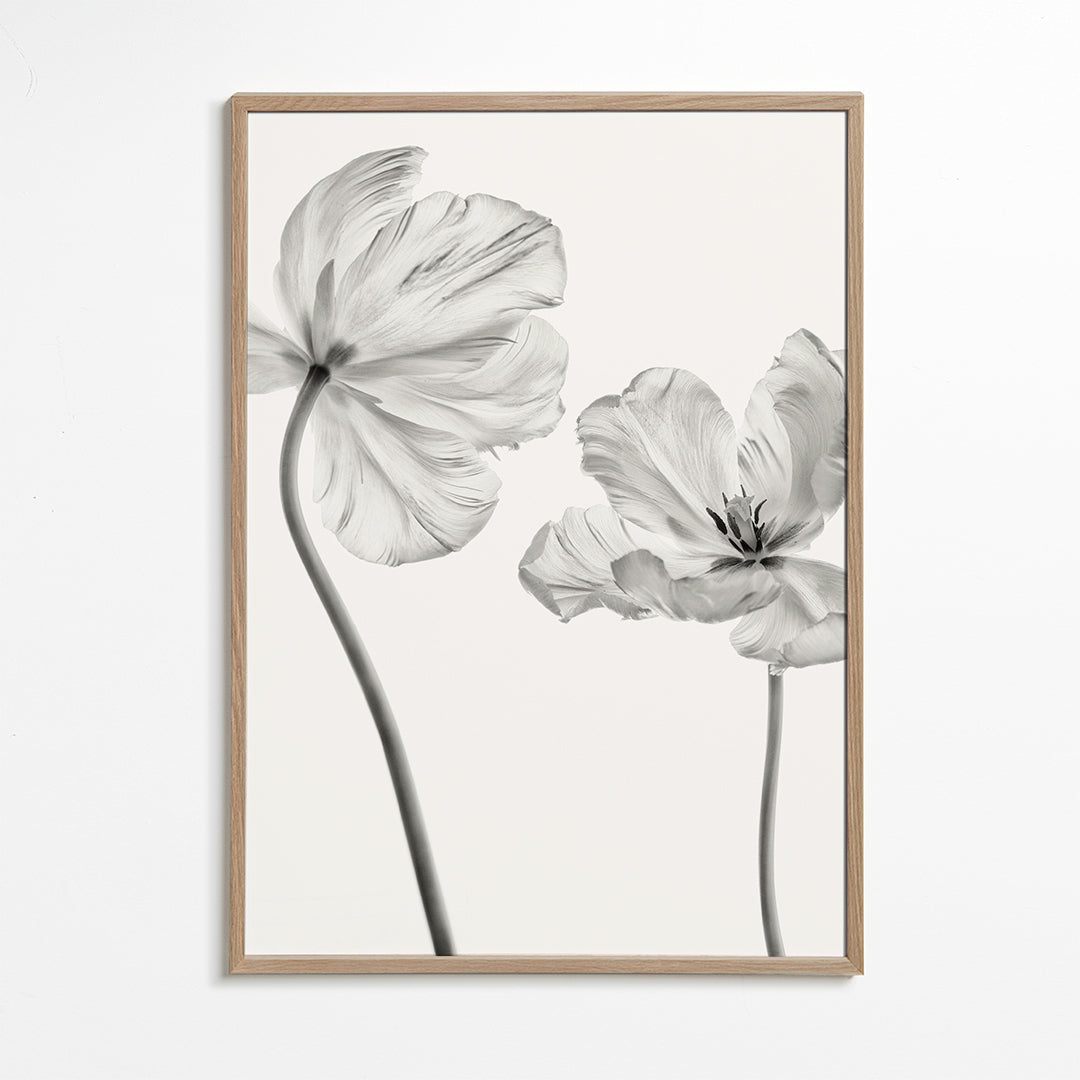 Same tulip  front and backview - Lotte Grønkjær