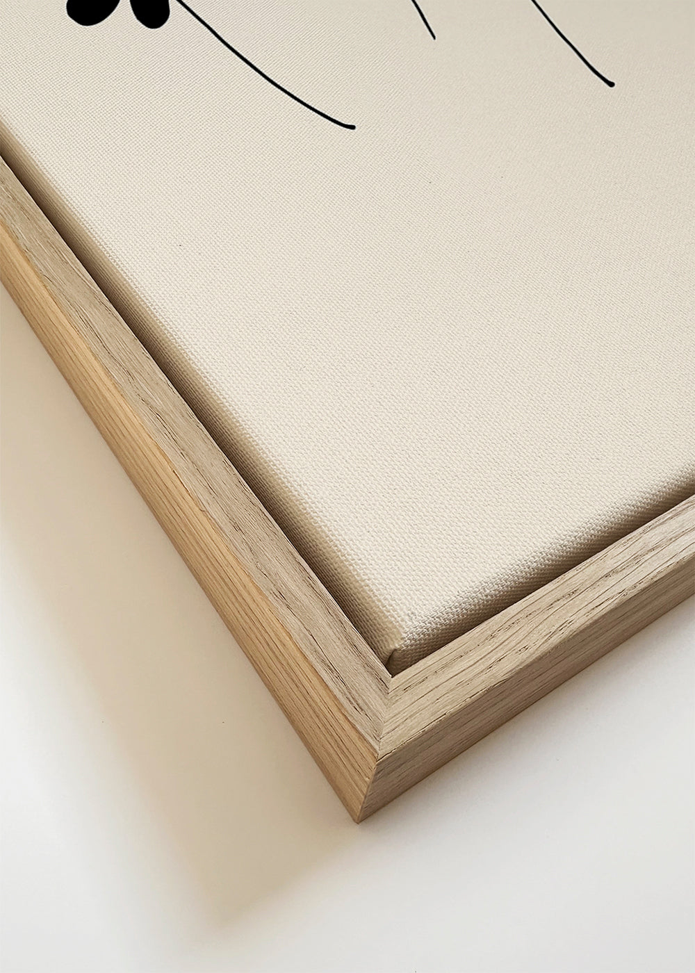 Black Sorrel - 1x Studio