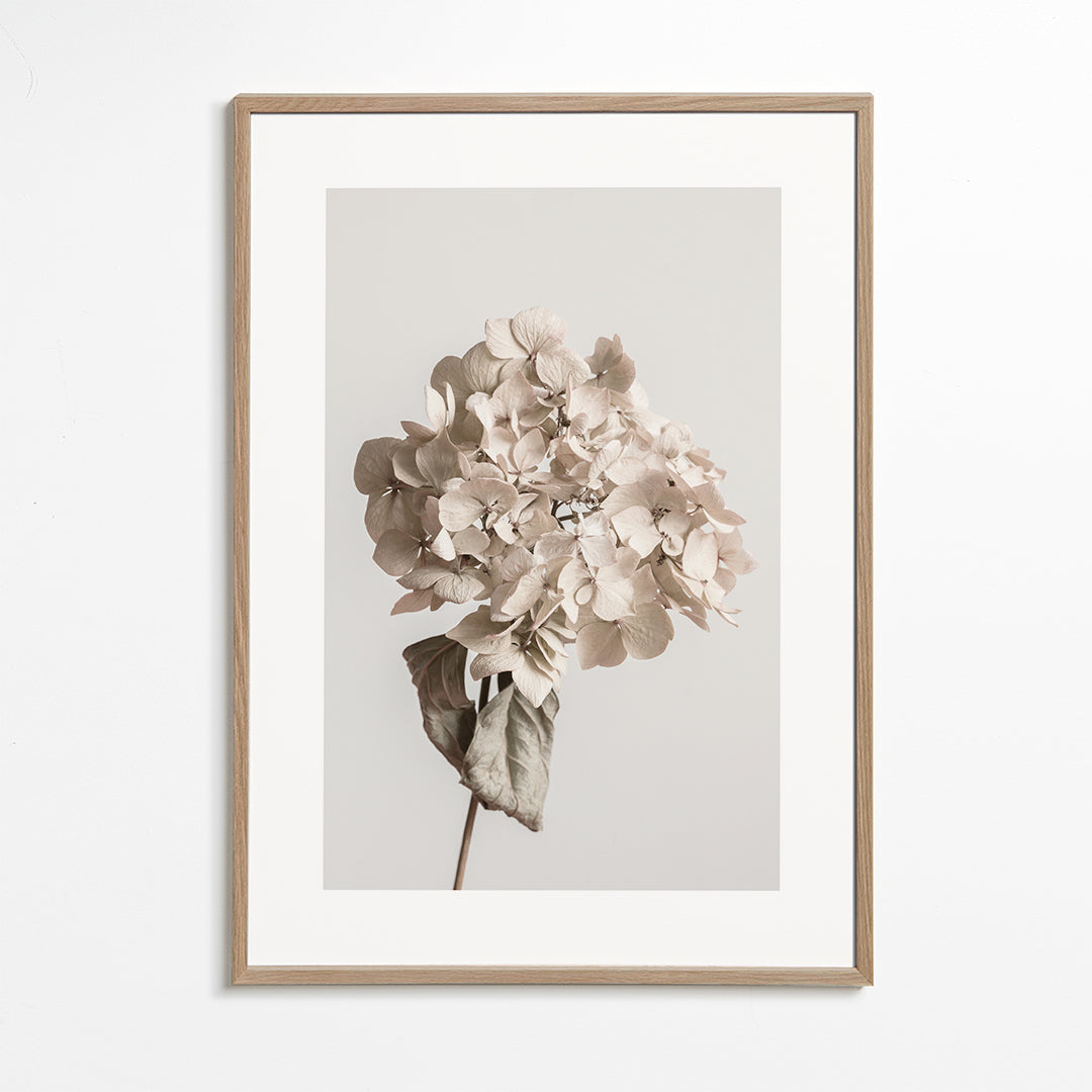 Beige dried flower