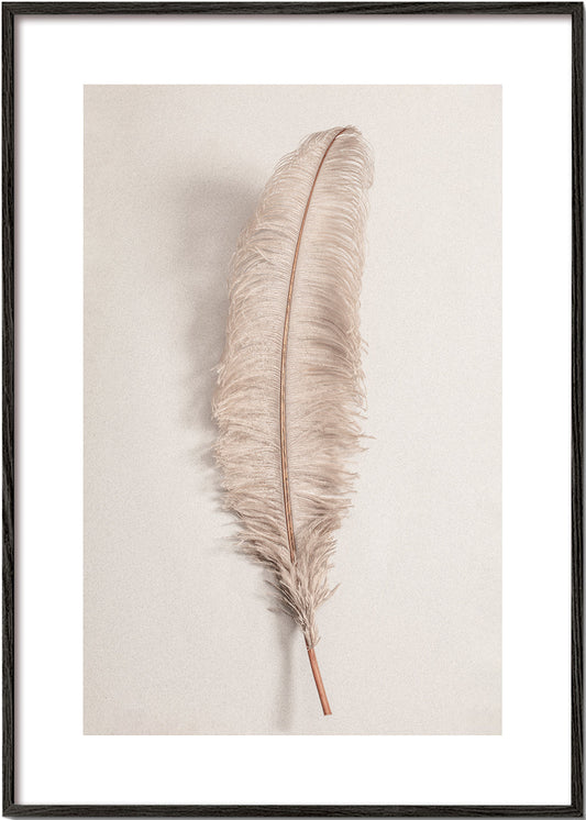 Feather II