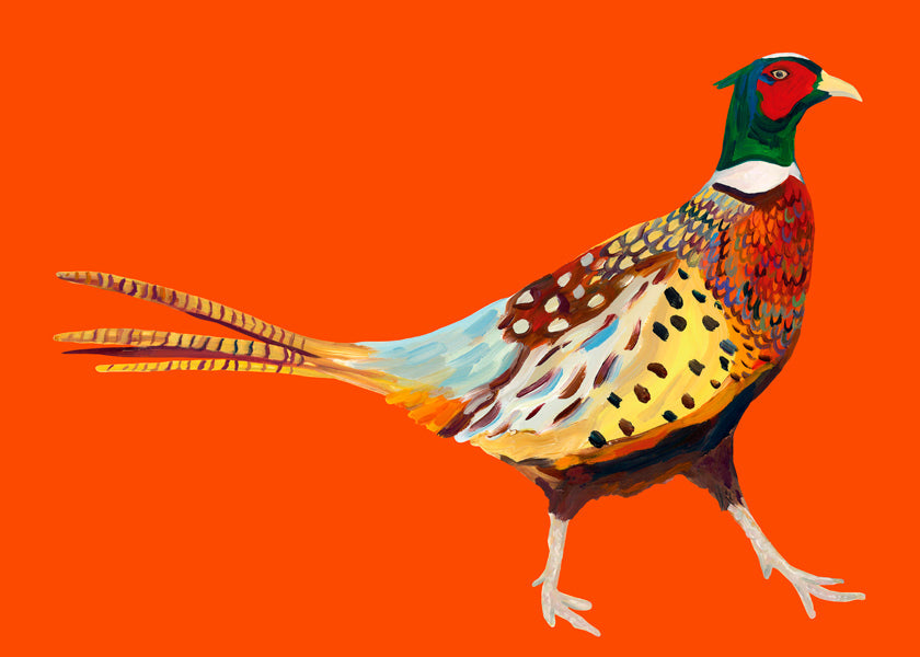 Strutting Pheasant On Orange - Alice Straker