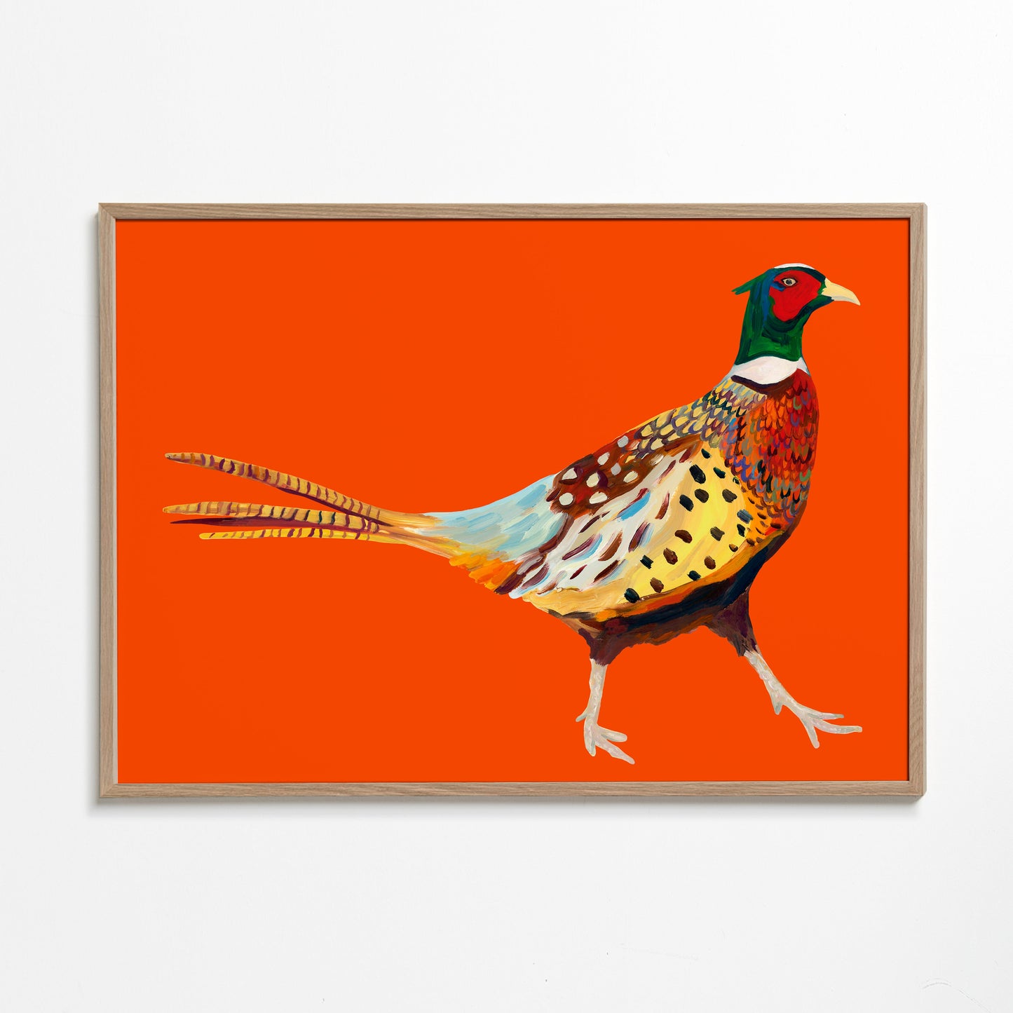 Strutting Pheasant On Orange - Alice Straker