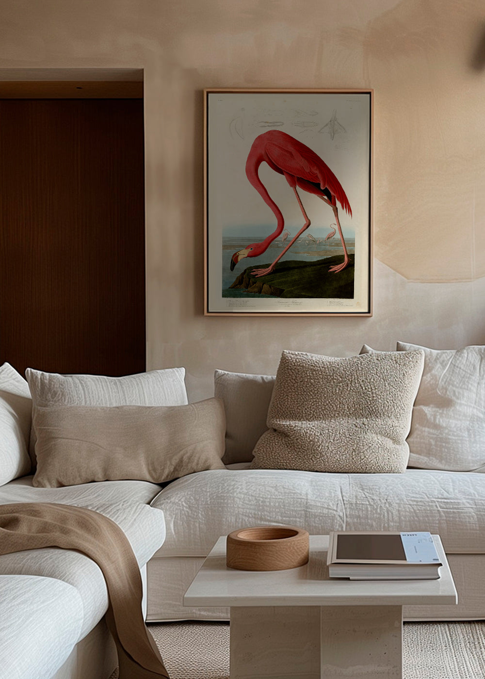 Audubon American Flamingo - The Birds of America