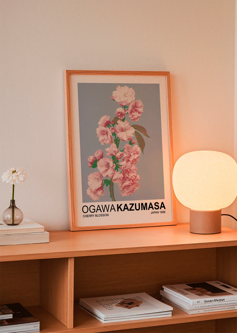 Cherry Blossom (Special Edition) - Ogawa Kazumasa