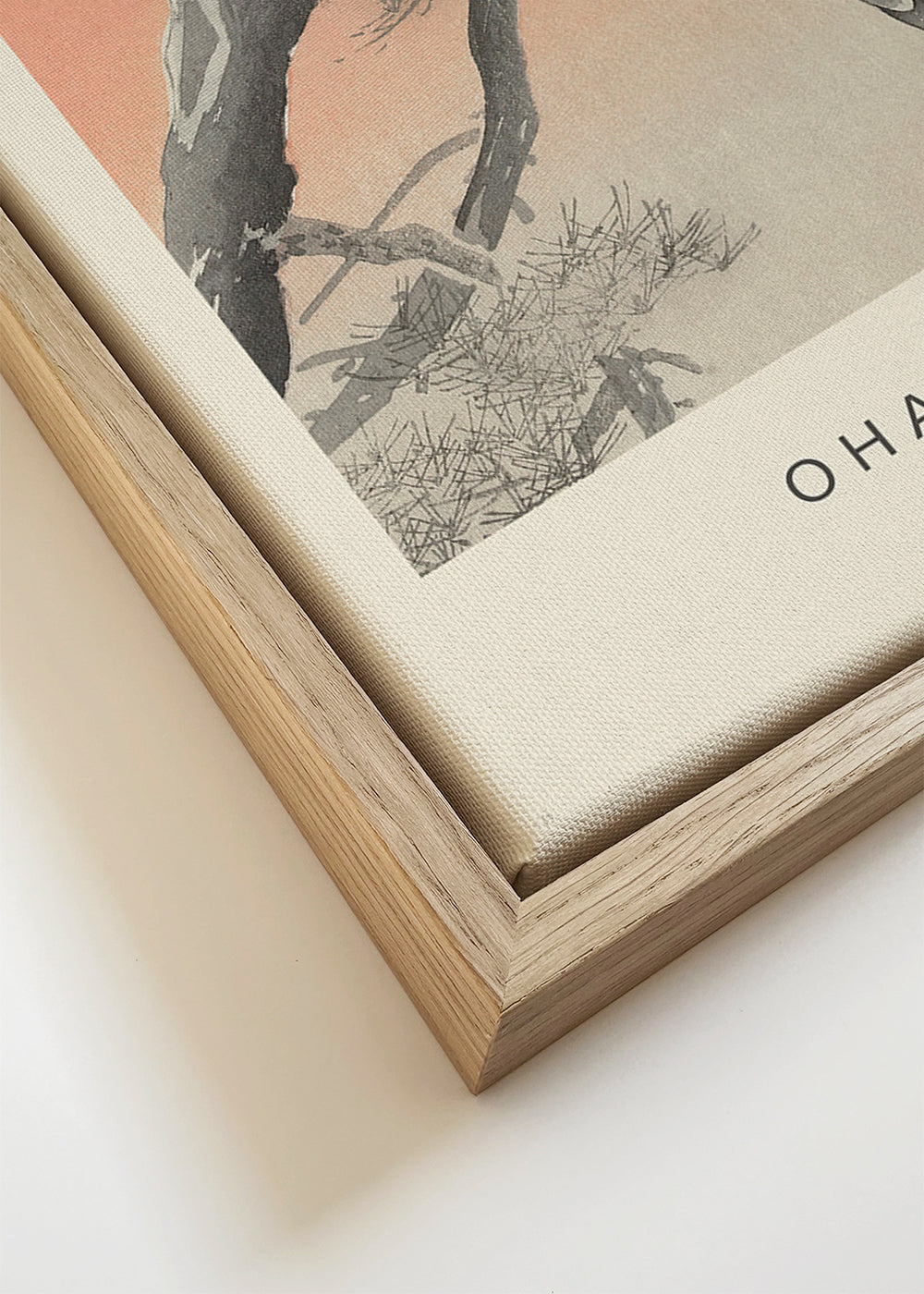 Two Peacocks (Special Edition) - Ohara Koson