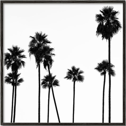 Black California - Palm Trees L.A II