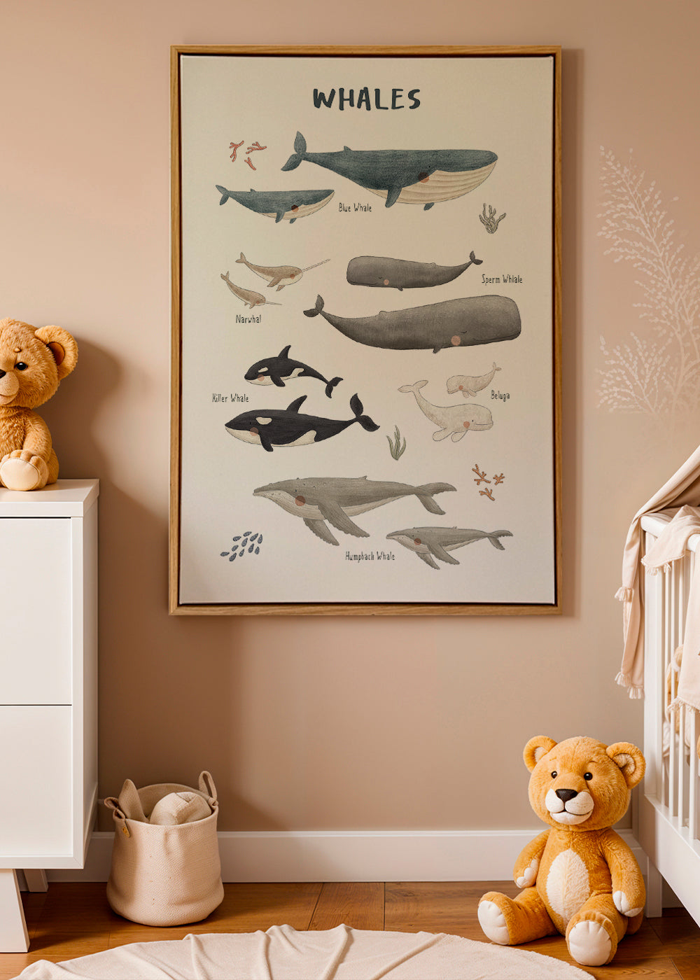 Ballenas fondo blanco (inglés)