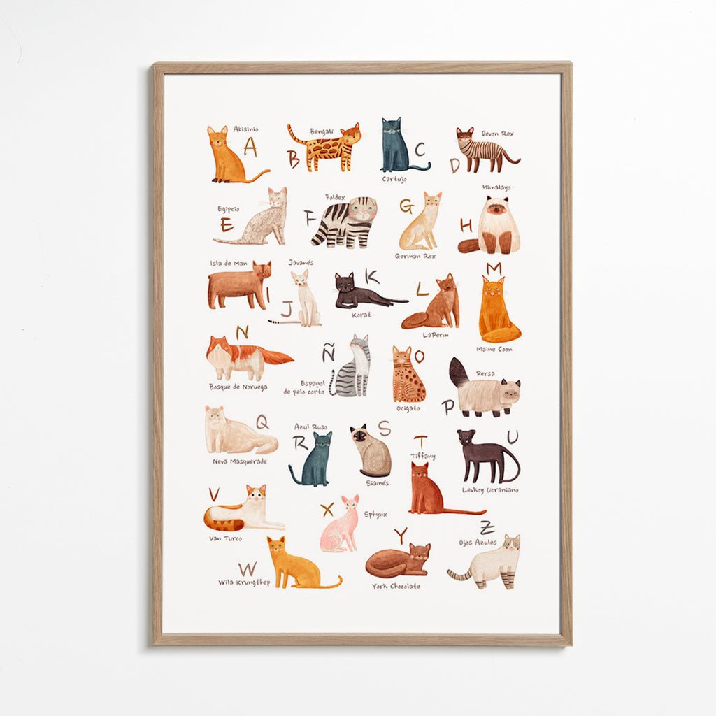Children's print: Illustrated cat alphabet