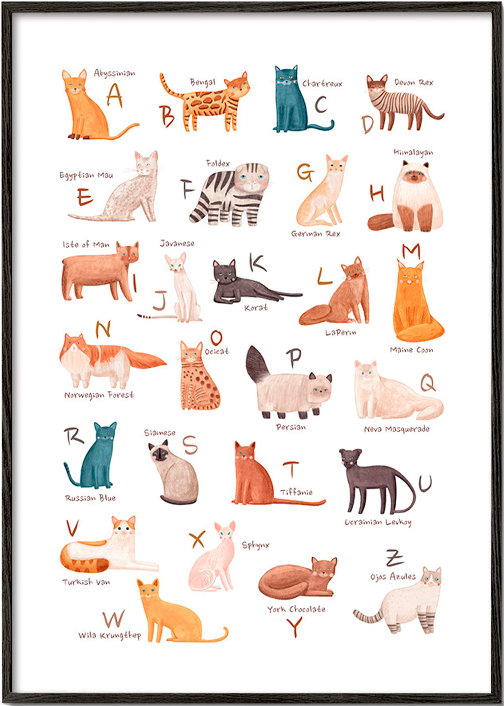 Children's print: illustrated cat alphabet