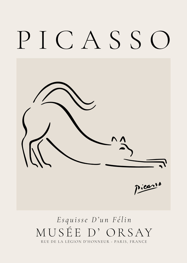 Pablo Picasso Animals Drawings the cat Esquisse D’un Félin