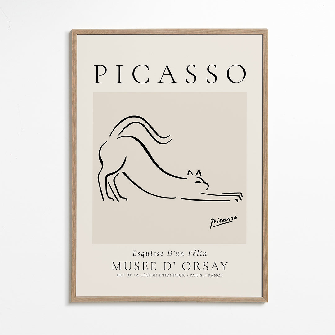 Pablo Picasso Animals Drawings the cat Esquisse D’un Félin