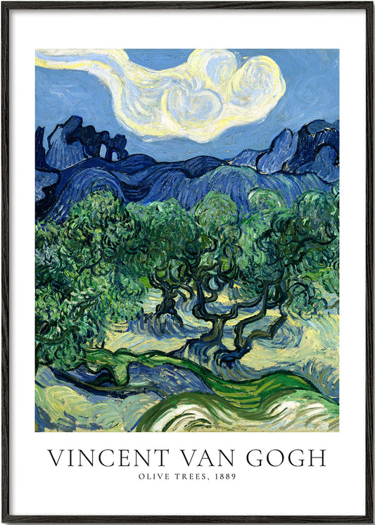 Vincent Van Gogh Olive trees