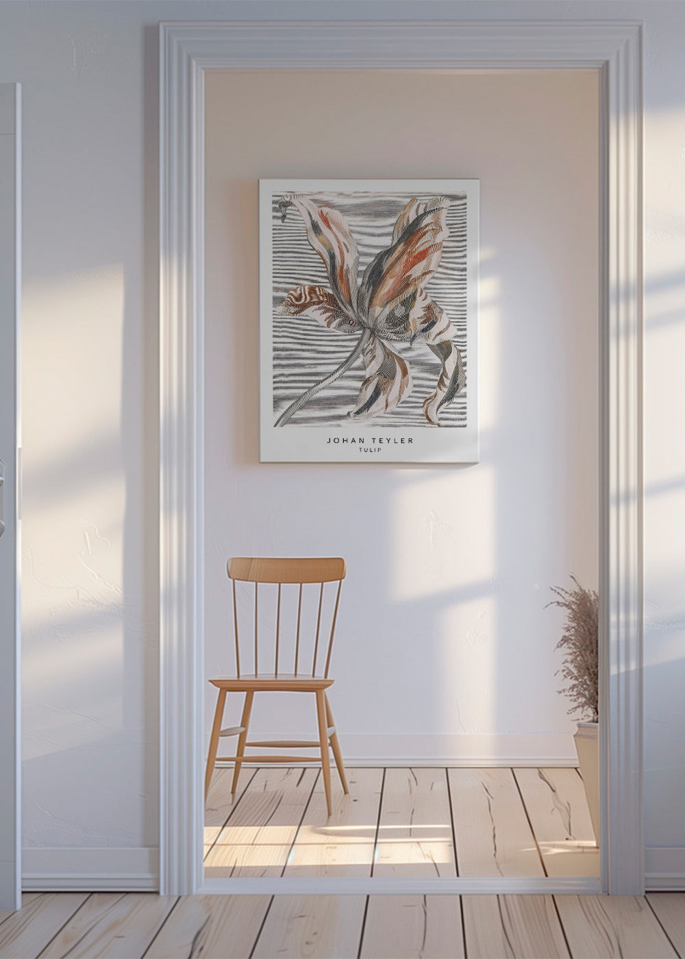 Johan Teyler Tulip