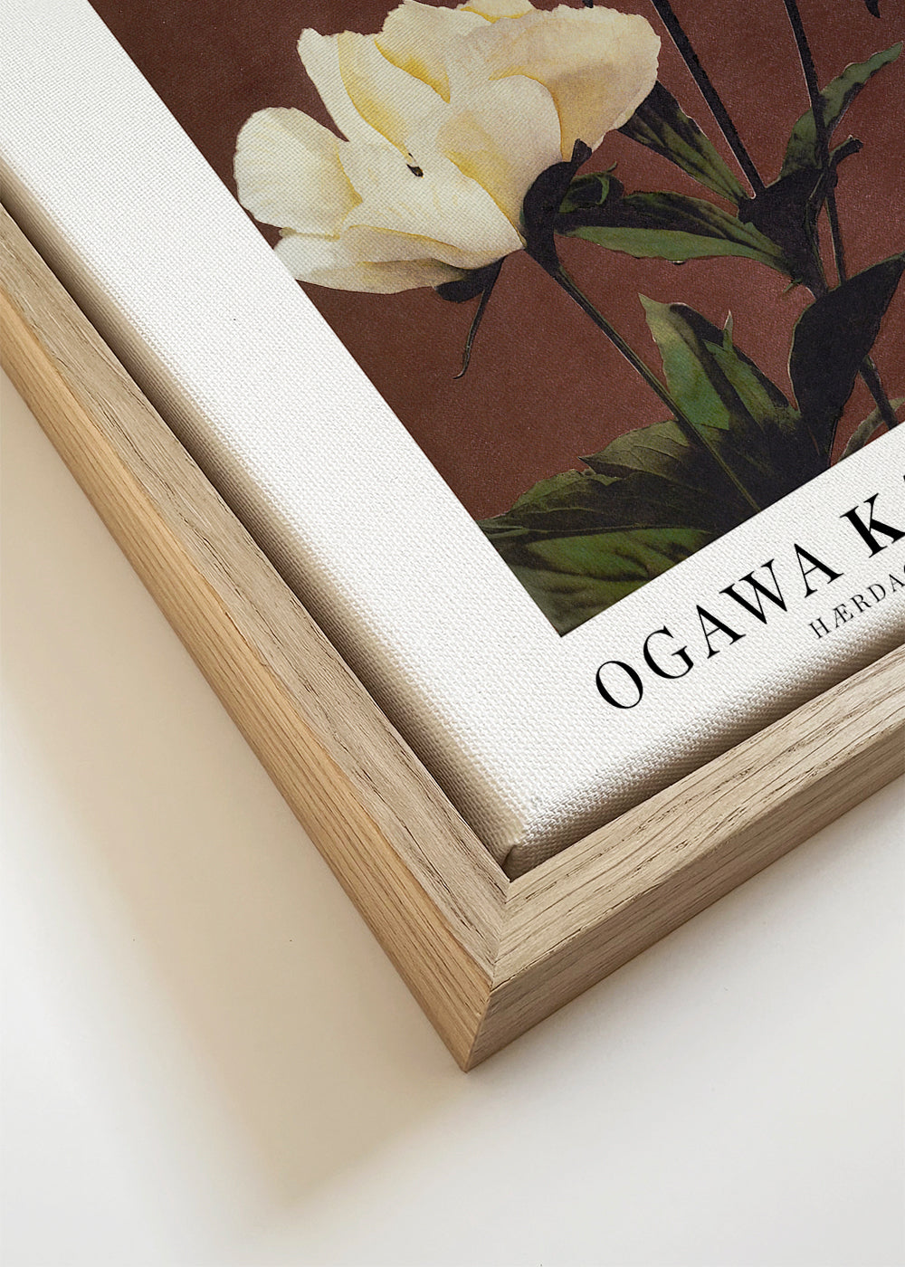 Ogawa Kazumasa peony II