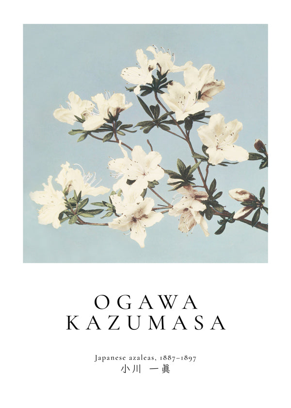 Japanese azaleas by Ogawa Kazumasa