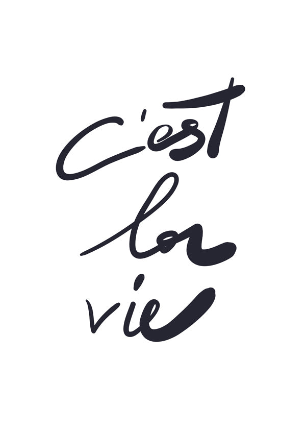 c'est la vie poster