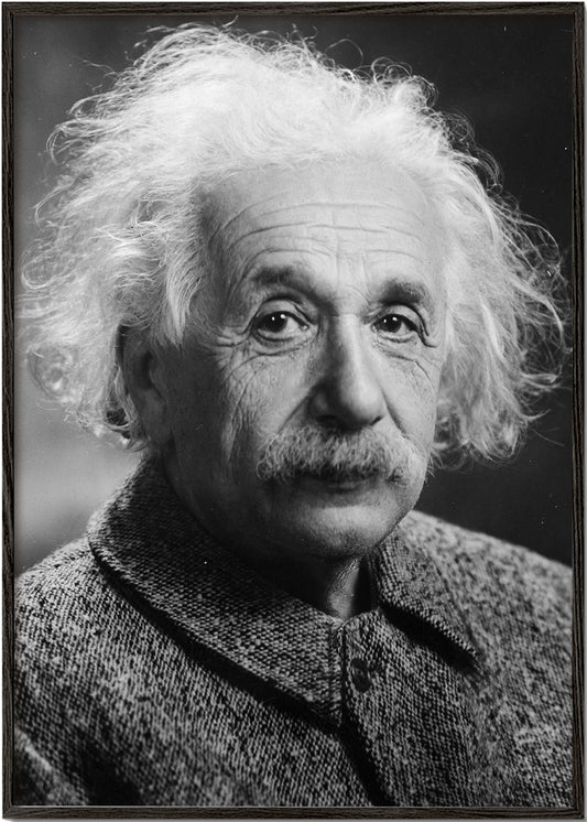 Albert Einstein vintage photograph