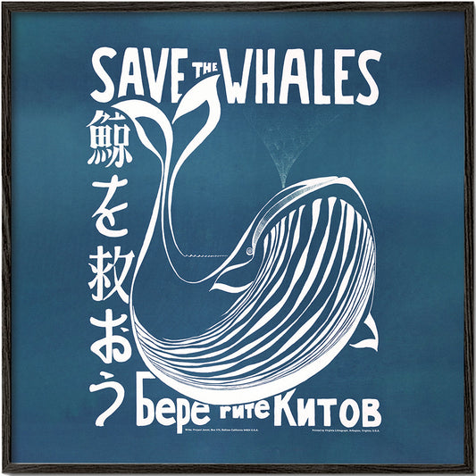 Save the whales (1973) vintage poster by Vint Lawrence - Square