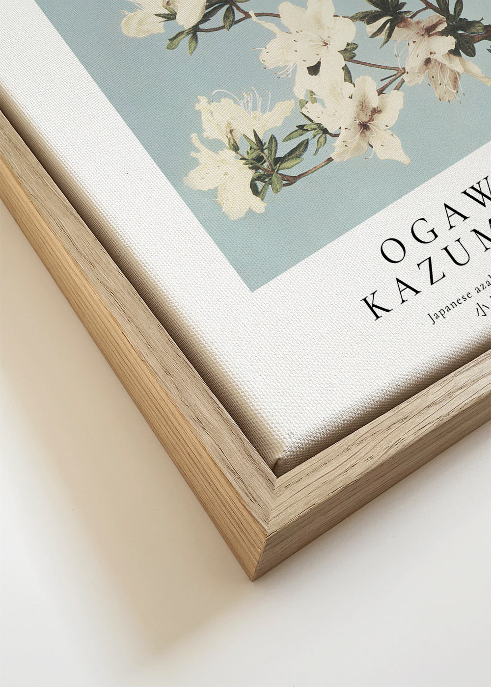 Japanese azaleas by Ogawa Kazumasa - Square