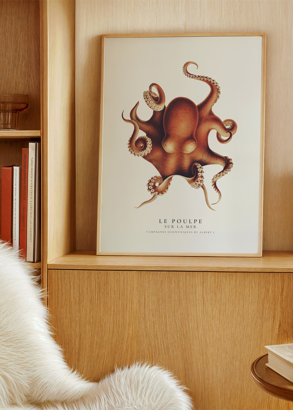 The Octopus (Le Poulpe) - Sealife Collection