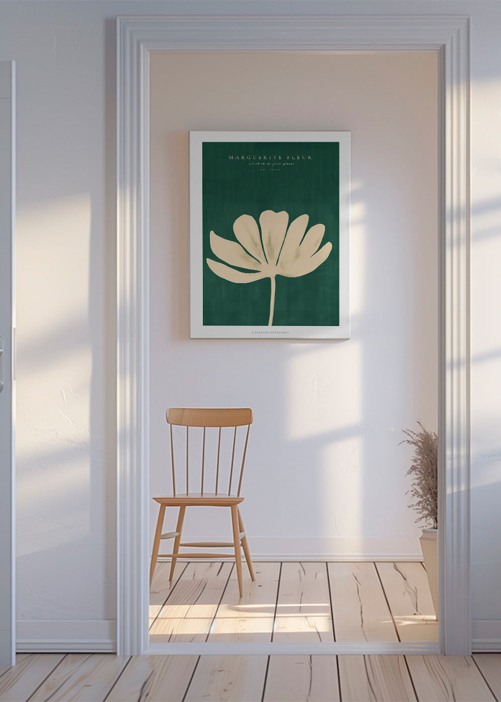 Daisy Flower (Marguerite Fleur)