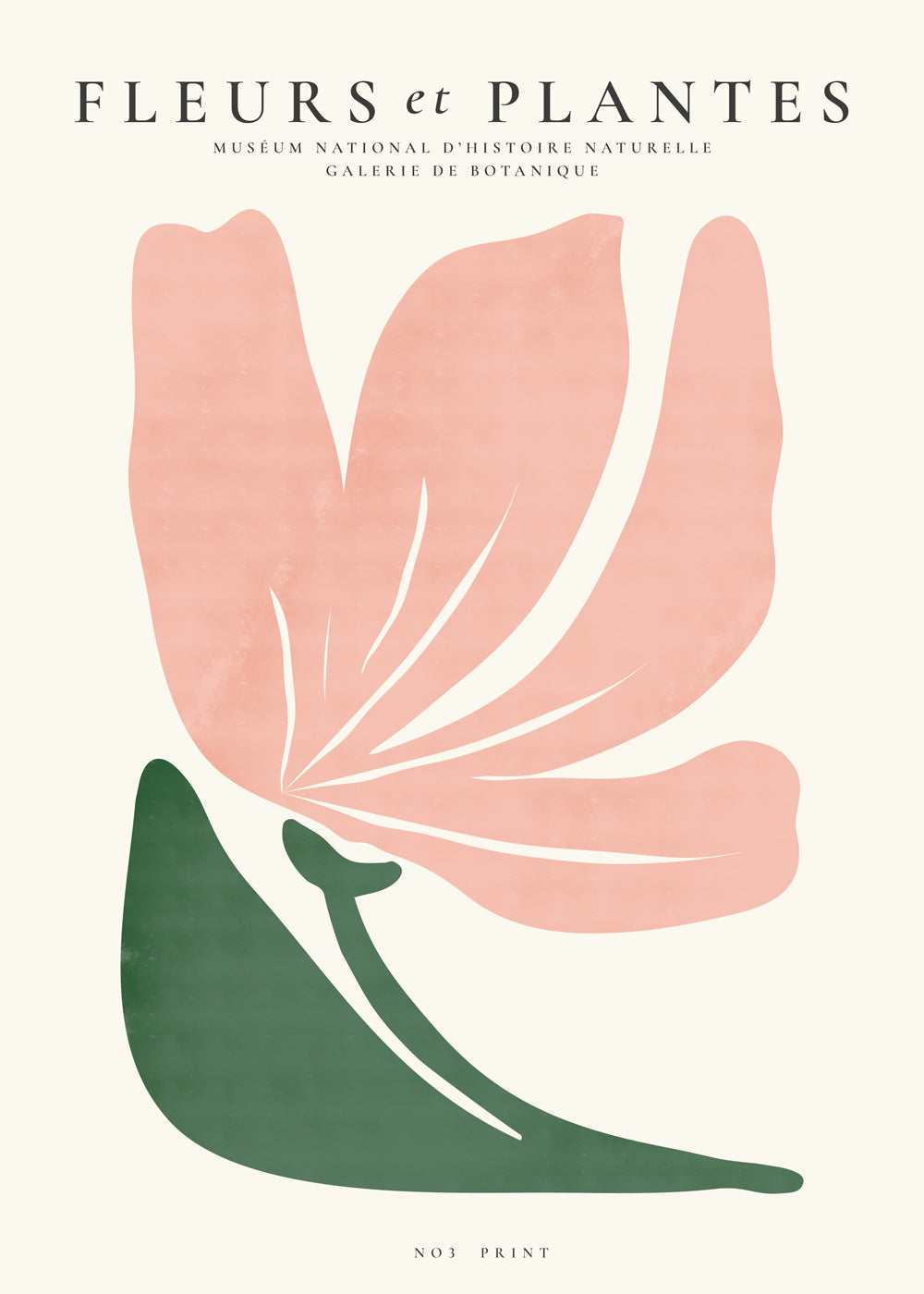 Botanical, Fleurs et plantes - Poster No. 3