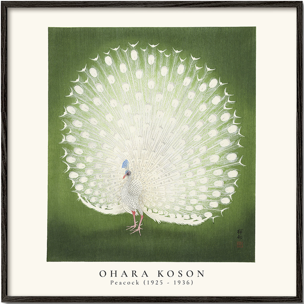 Ohara Koson, Peacock - SQUARE