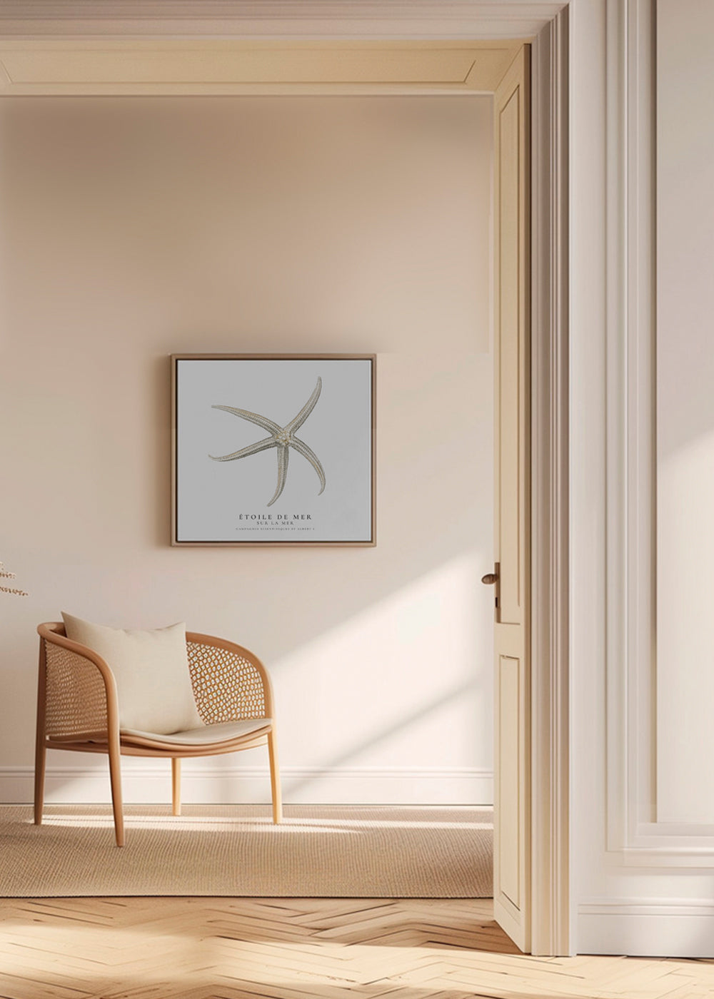 Starfish (Étoile de mer) II - Sealife Collection - SQUARE