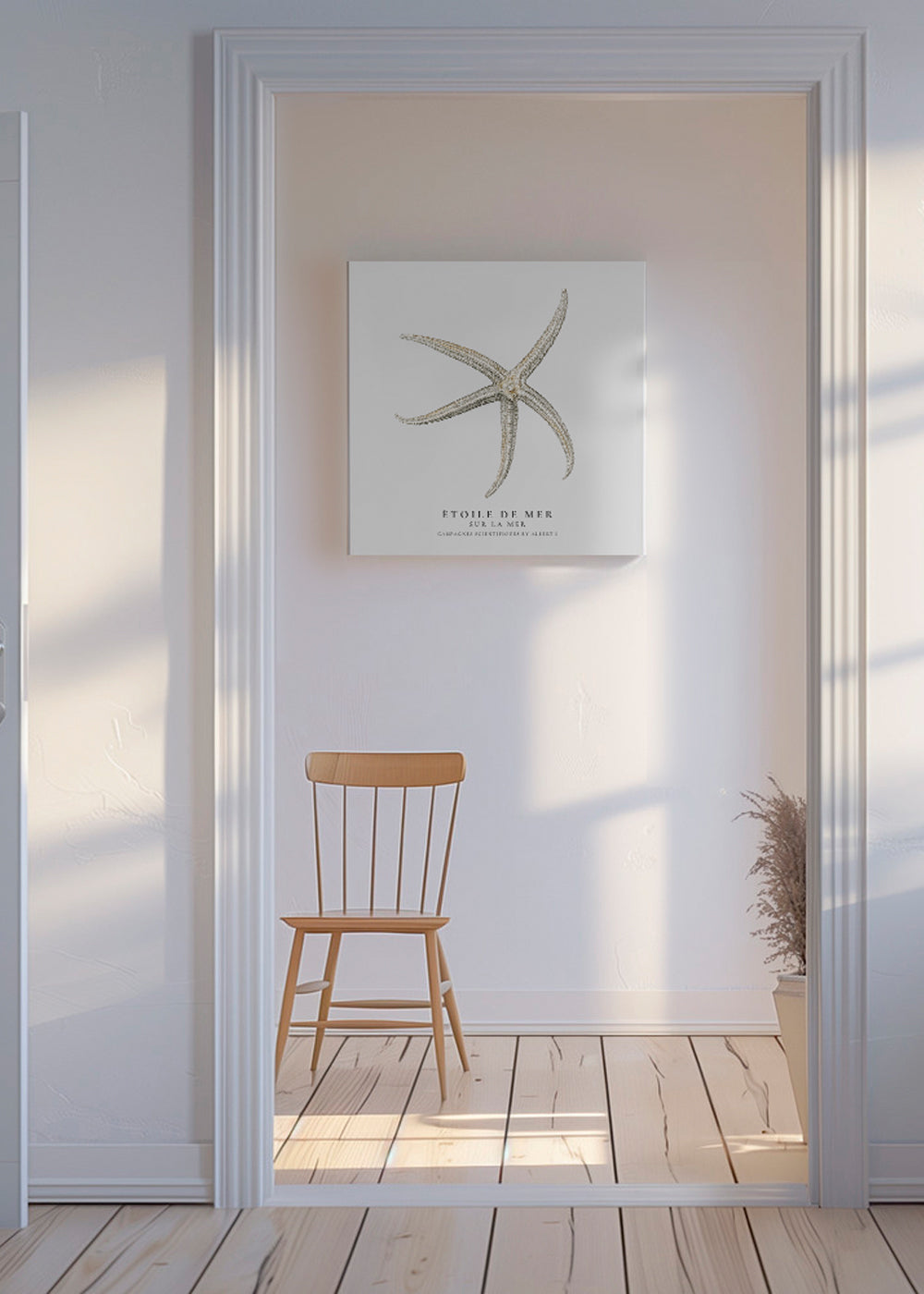 Starfish (Étoile de mer) II - Sealife Collection - SQUARE