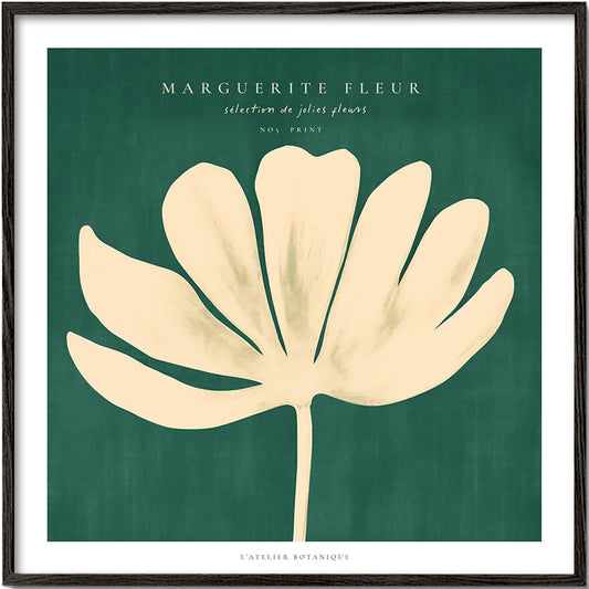 Daisy Flower (Marguerite Fleur) - SQUARE