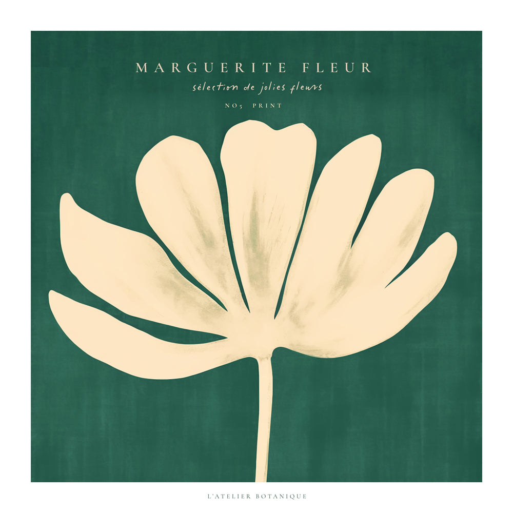 Daisy Flower (Marguerite Fleur) - SQUARE