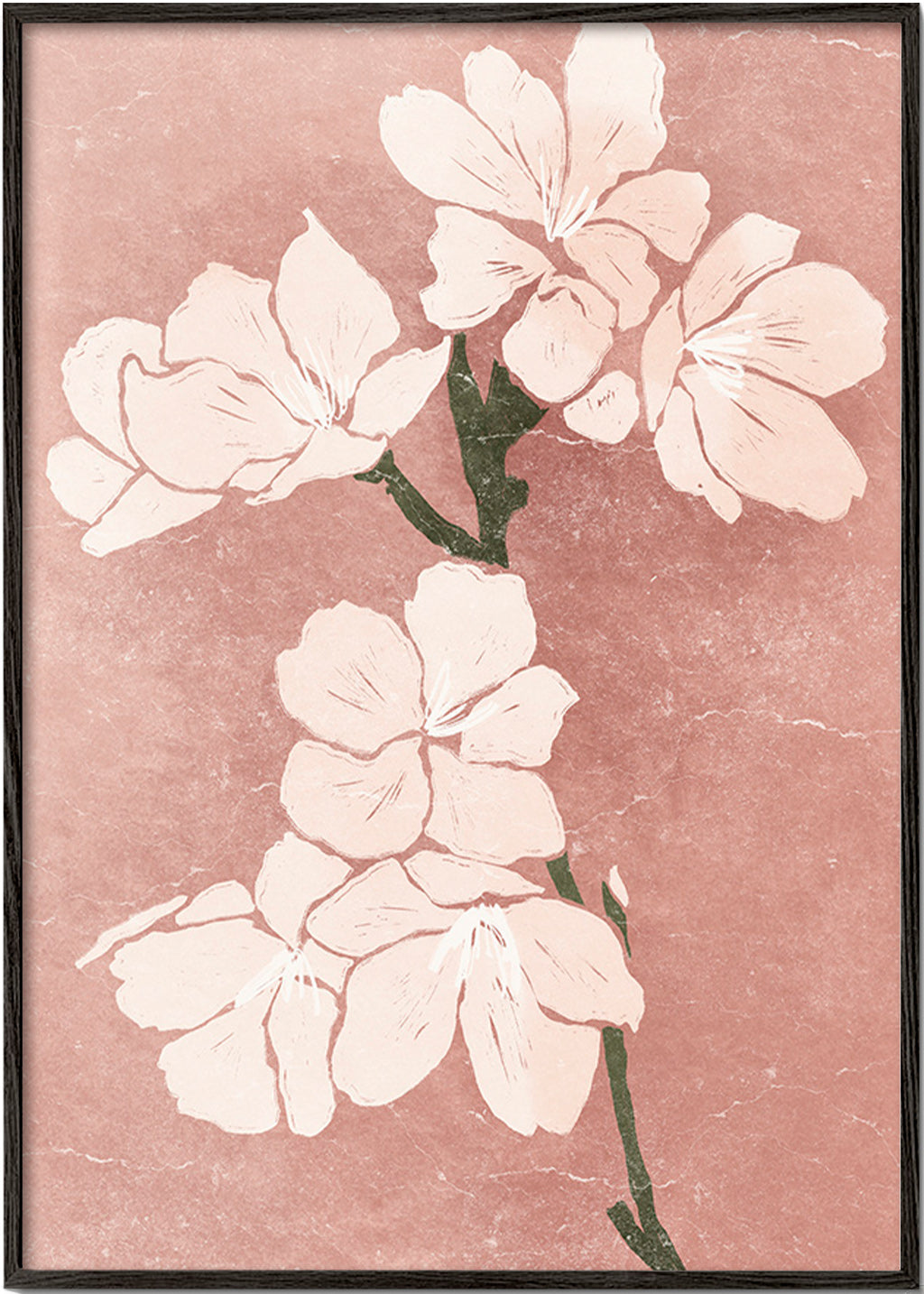 Lámina botánica con flores rosas y textura vintage – Black Frame