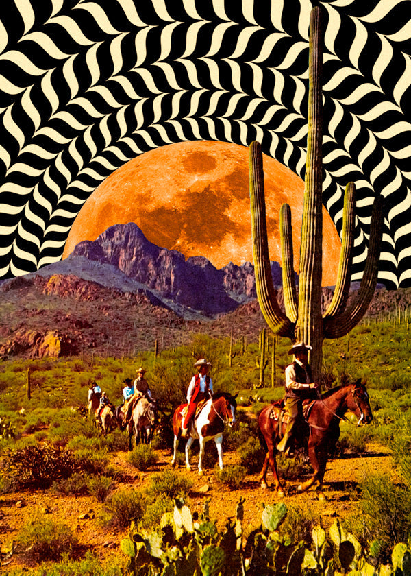 Illusionary Cowboys - Taudalpoi  