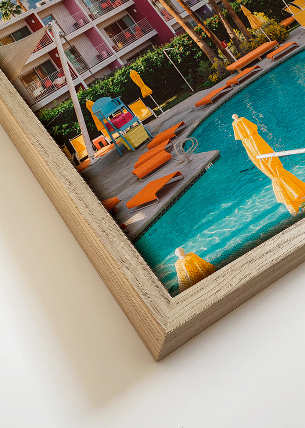 Palm Springs Saguaro - Bethany Young 