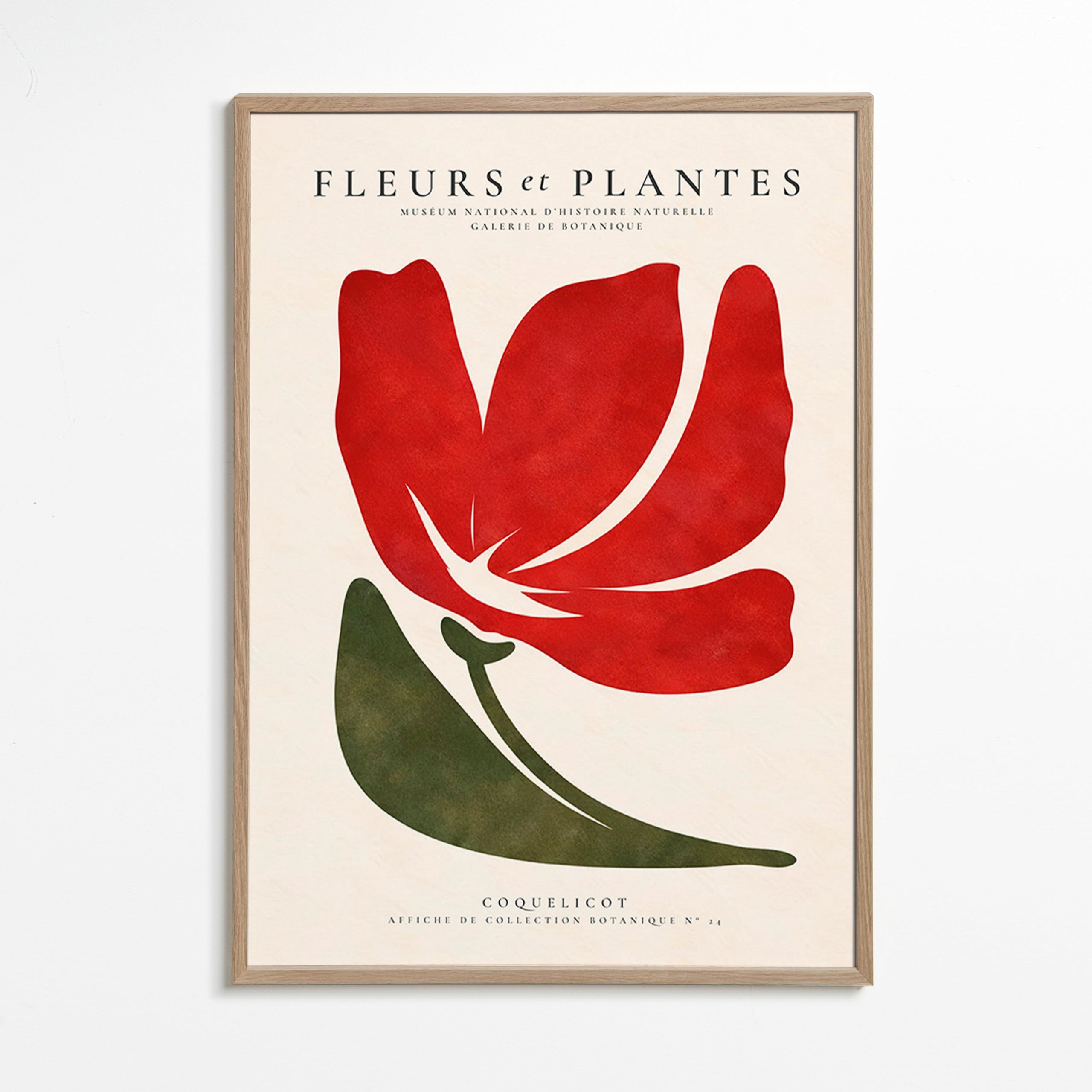 Botanical print featuring a stylized red poppy