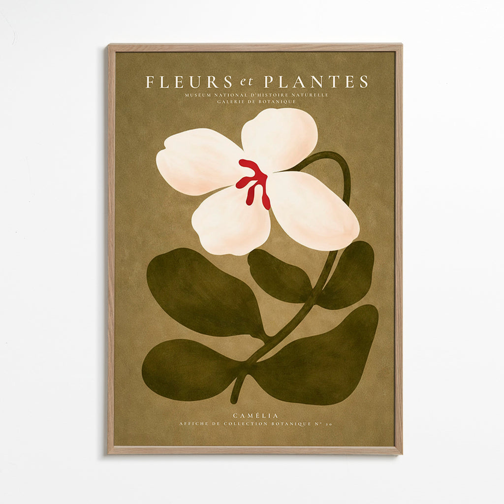 Botanical print: white camellia on olive background