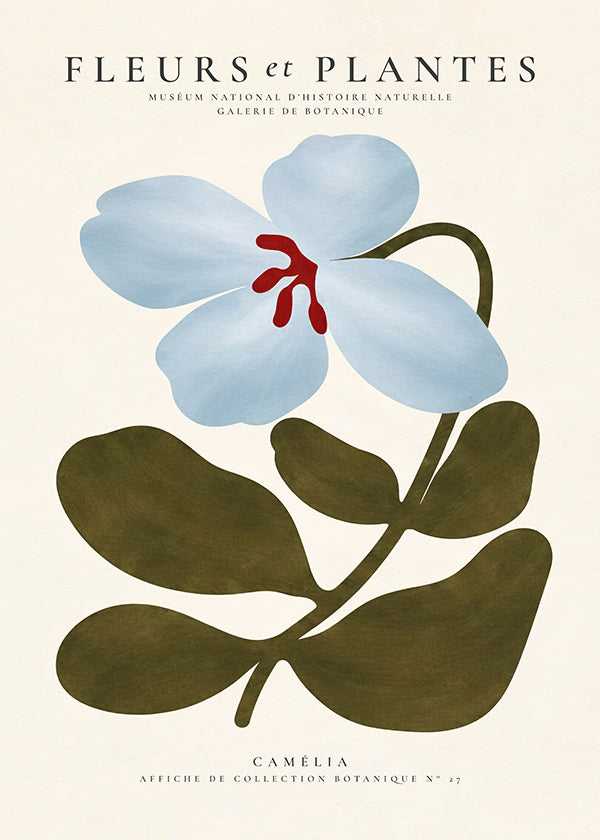 Botanical print Blue Camellia
