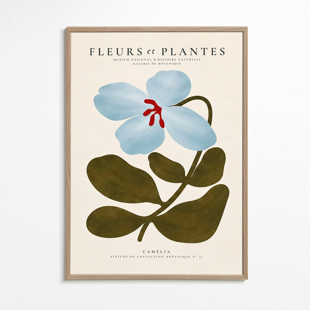 Botanical print Blue Camellia