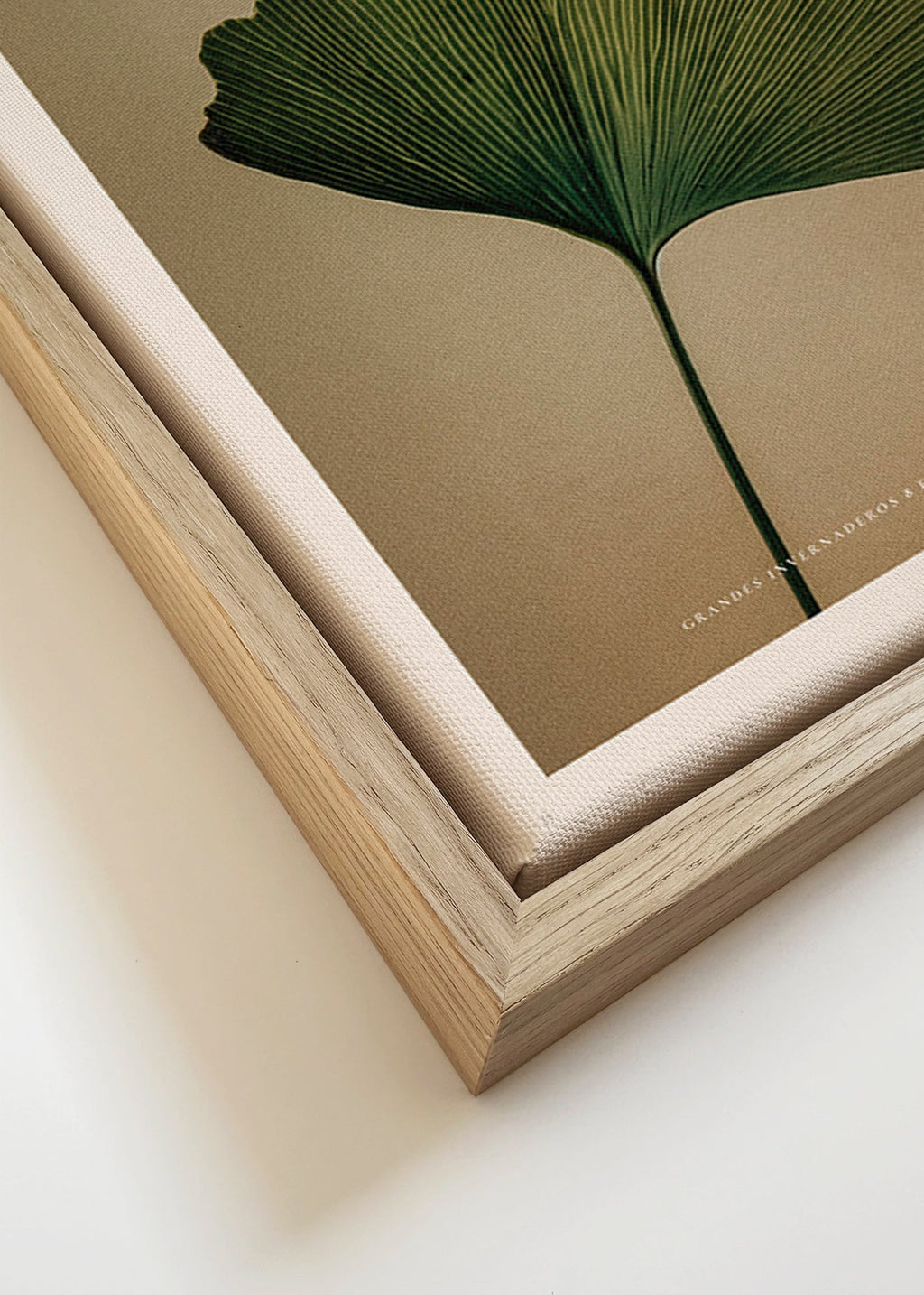 Botanical print featuring a ginkgo leaf and classic typography