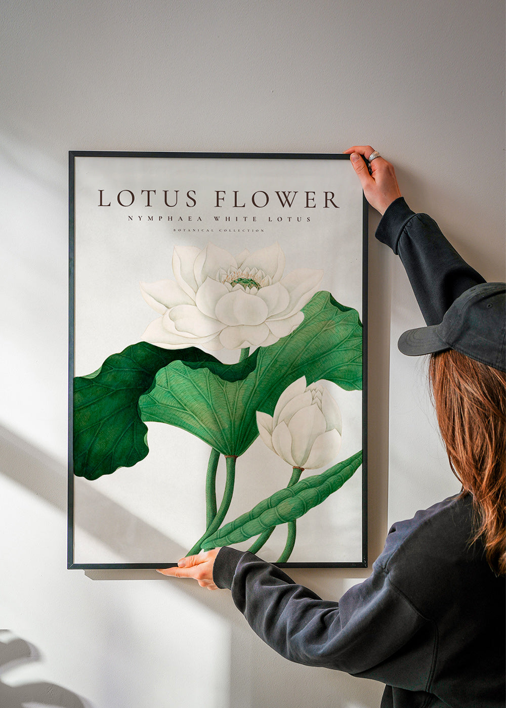 Botanical print White Lotus study