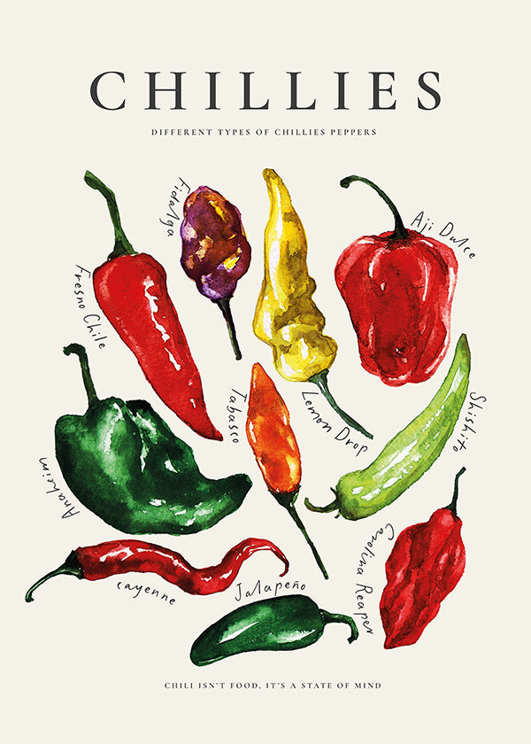 Kitchen art Chillies watercolor peppers