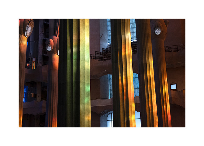 Photograph of illuminated interior columns