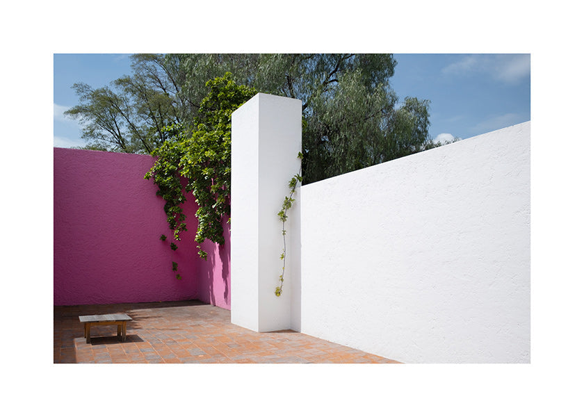 Minimalist design courtyard in pink and white