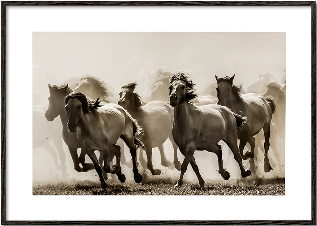 Cuadro caballo en estampida sepia – Black Frame