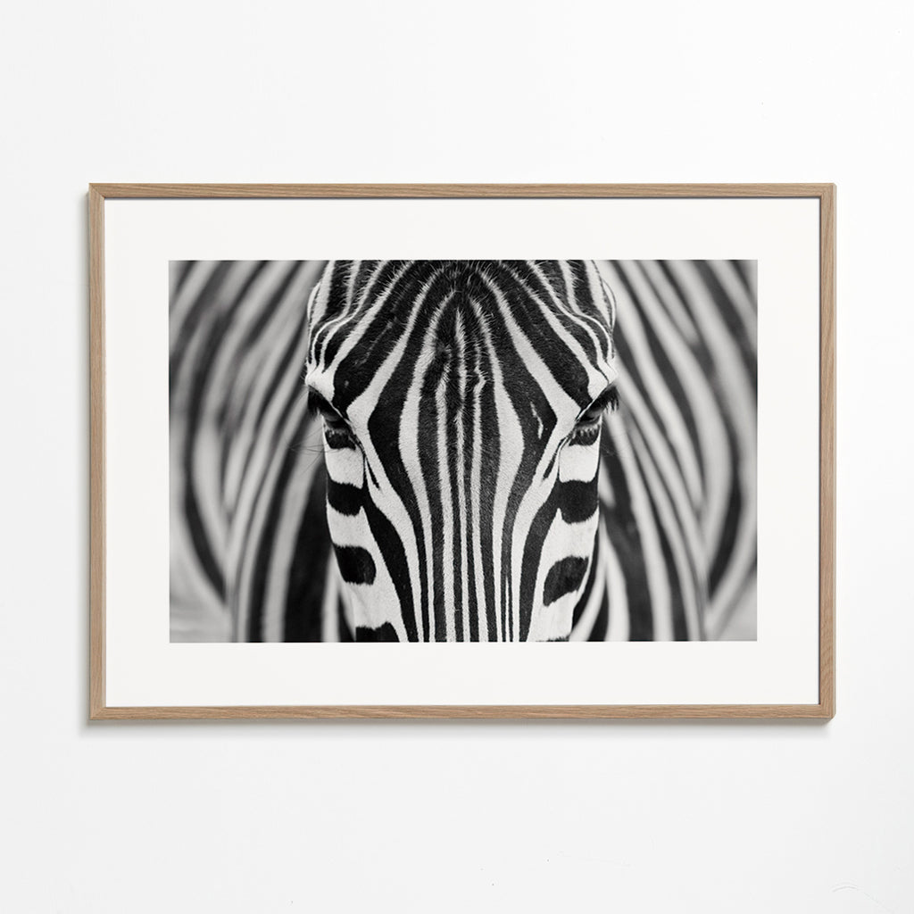 Cuadro cebra en primer plano – Oak Frame