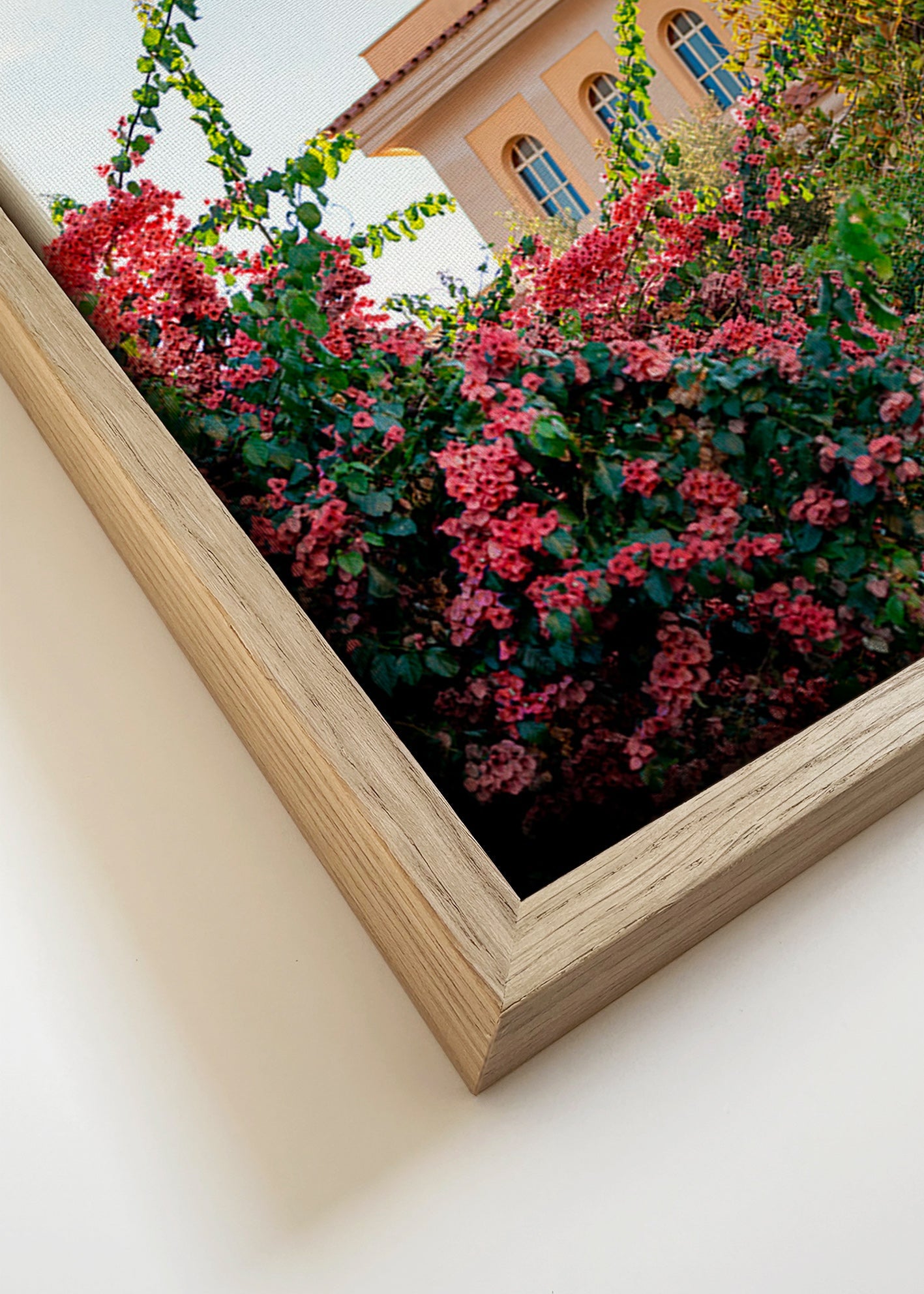 Lámina botánica con fachada y buganvillas – Canvas detail