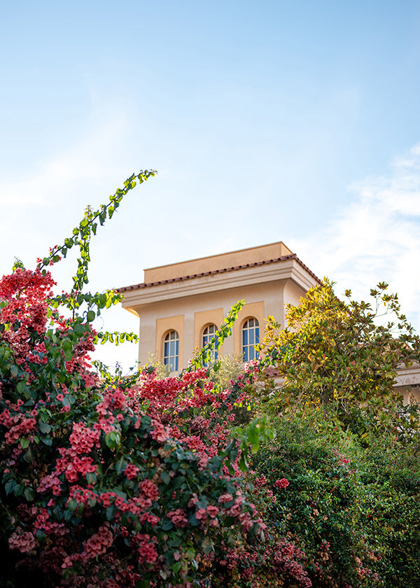 Lámina botánica con fachada y buganvillas