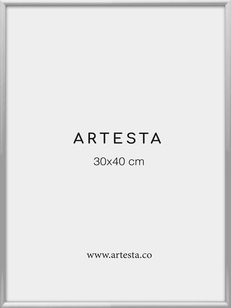 Silver frame 30x40cm