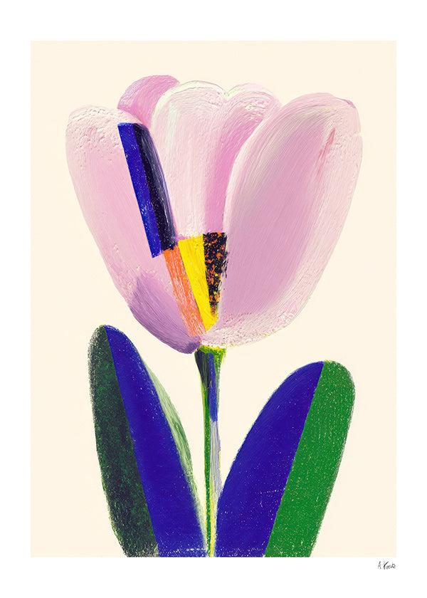 Lámina botánica tulipán rosa